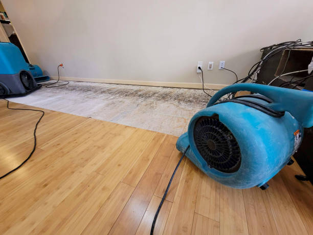 Professional Flood Damage Cleanup technician working in New Richmond, WI